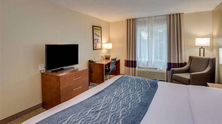 Comfort Inn & Suites Room