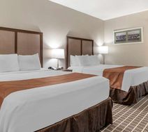 Quality Inn Room