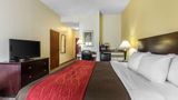 <b>Comfort Inn & Suites Thomson Room</b>. Images powered by <a href="https://iceportal.shijigroup.com/" title="IcePortal" target="_blank">IcePortal</a>.