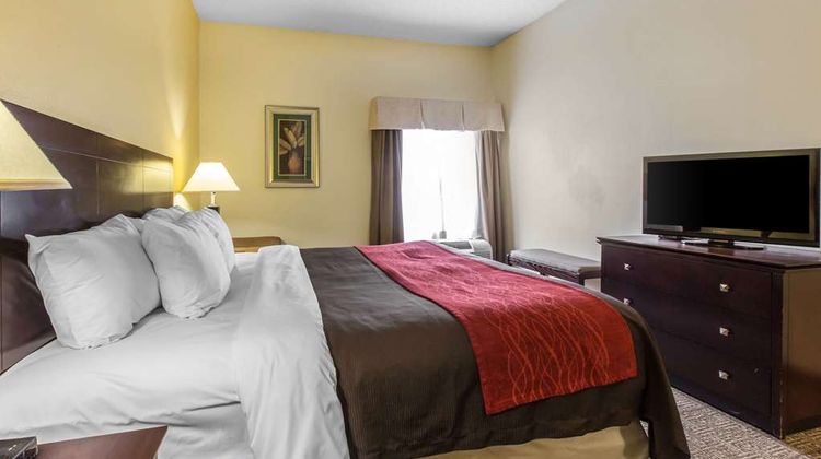 Comfort Inn & Suites Thomson Room
