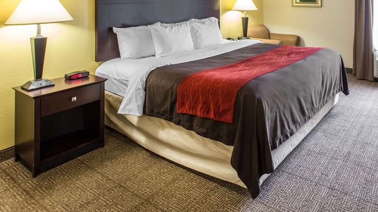 <b>Comfort Inn & Suites Thomson Room</b>. Images powered by <a href="https://iceportal.shijigroup.com/" title="IcePortal" target="_blank">IcePortal</a>.
