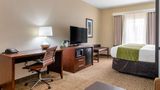 Comfort Inn and Suites Griffin North Suite