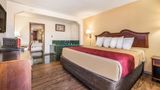 Econo Lodge Inn and Suites Macon West Suite