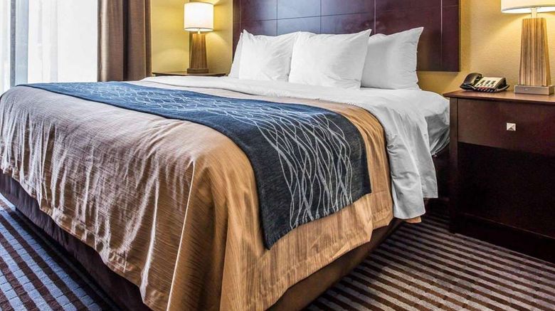 <b>Comfort Inn & Suites Ballpark Area Suite</b>. Images powered by <a href="https://iceportal.shijigroup.com/" title="IcePortal" target="_blank">IcePortal</a>.