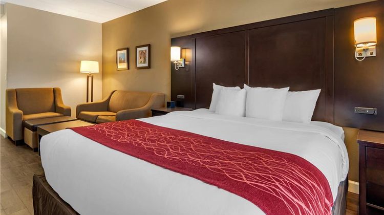 Comfort Inn & Suites Six Flags Suite