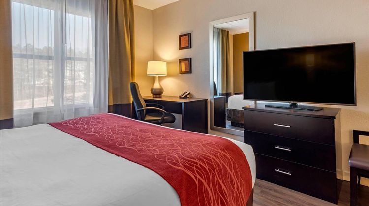 Comfort Inn & Suites Six Flags Suite