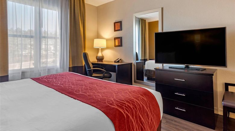 <b>Comfort Inn & Suites Six Flags Suite</b>. Images powered by <a href="https://iceportal.shijigroup.com/" title="IcePortal" target="_blank">IcePortal</a>.