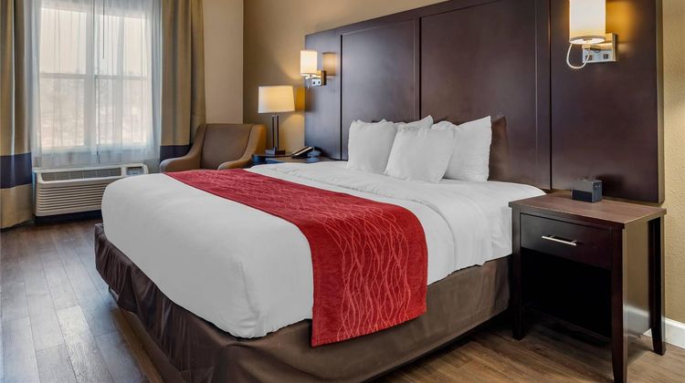 Comfort Inn & Suites Six Flags Room