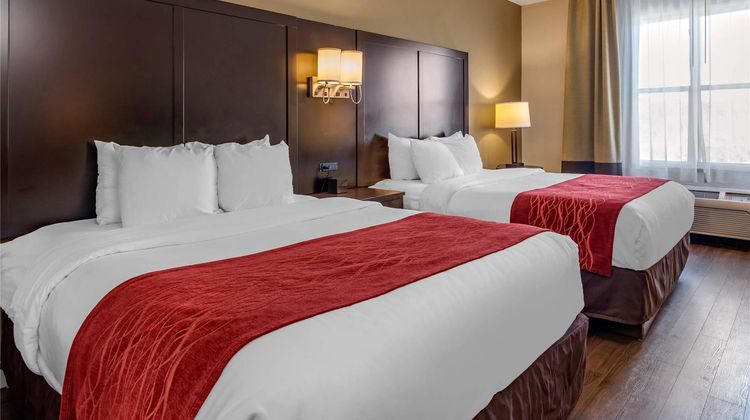 Comfort Inn & Suites Six Flags Room
