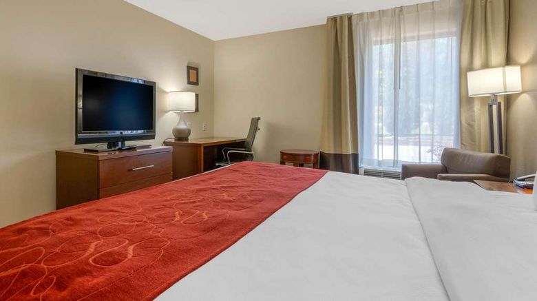 <b>Comfort Inn & Suites Room</b>. Images powered by <a href="https://iceportal.shijigroup.com/" title="IcePortal" target="_blank">IcePortal</a>.