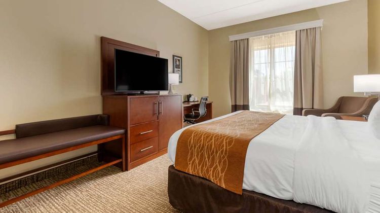 Comfort Inn & Suites Cordele Room
