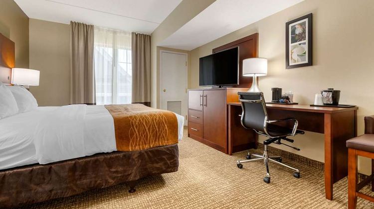 Comfort Inn & Suites Cordele Suite