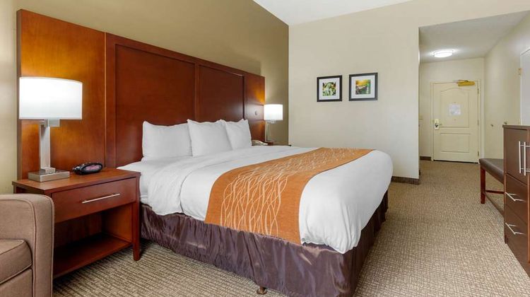 Comfort Inn & Suites Cordele Room
