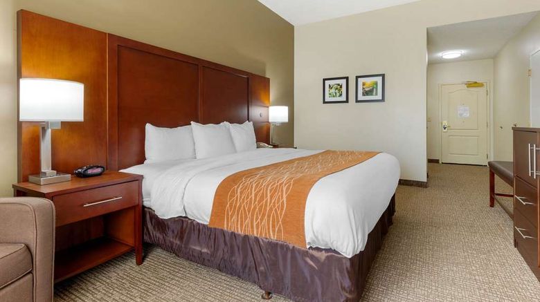 <b>Comfort Inn & Suites Cordele Room</b>. Images powered by <a href="https://iceportal.shijigroup.com/" title="IcePortal" target="_blank">IcePortal</a>.