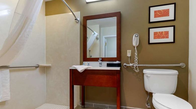 <b>Comfort Inn & Suites Cordele Room</b>. Images powered by <a href="https://iceportal.shijigroup.com/" title="IcePortal" target="_blank">IcePortal</a>.