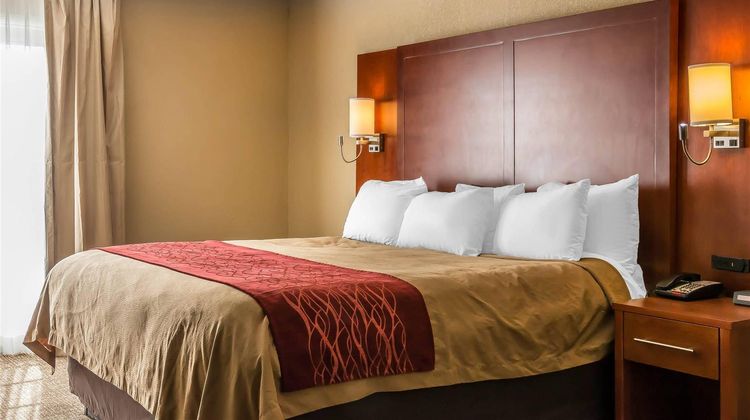 Comfort Inn Savannah Suite