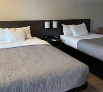 Quality Inn Forsyth Room