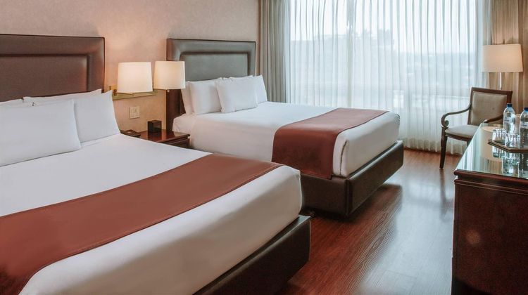 Clarion Suites Suite