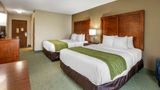 <b>Comfort Inn Room</b>. Images powered by <a href="https://iceportal.shijigroup.com/" title="IcePortal" target="_blank">IcePortal</a>.