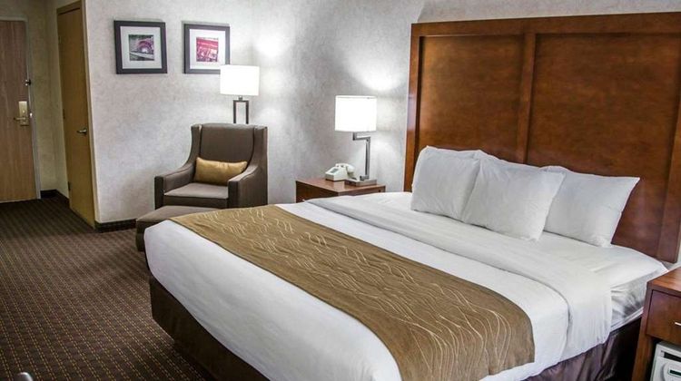 Comfort Inn & Suites Riverview Room