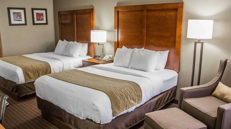 Comfort Inn & Suites Riverview Suite