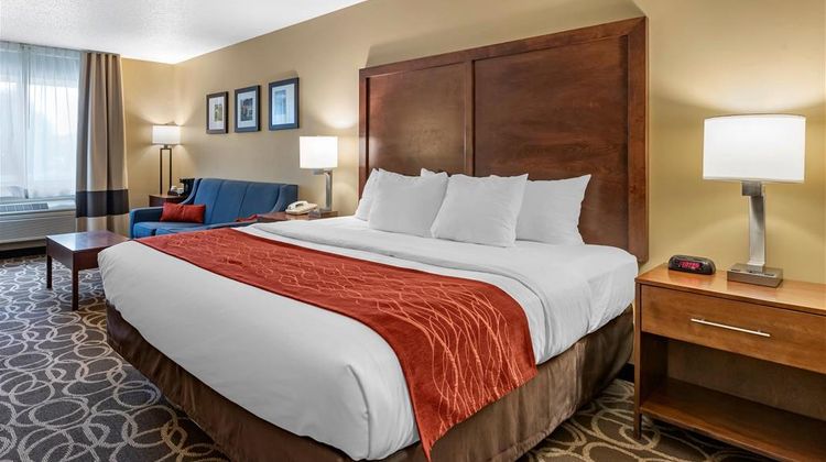 Comfort Inn Room