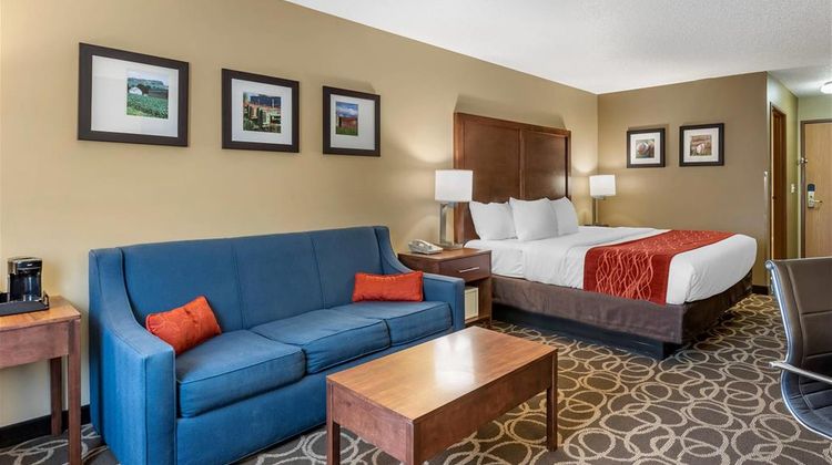 Comfort Inn Room