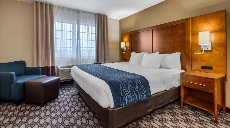 Comfort Inn Story City Room