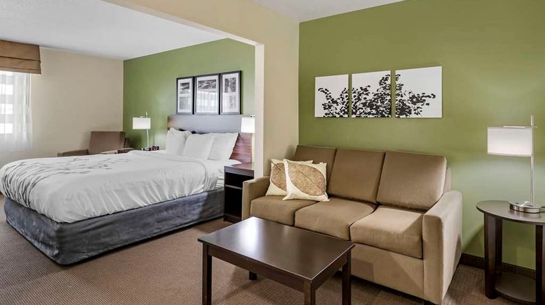 <b>Sleep Inn and Suites Charles City Room</b>. Images powered by <a href="https://iceportal.shijigroup.com/" title="IcePortal" target="_blank">IcePortal</a>.