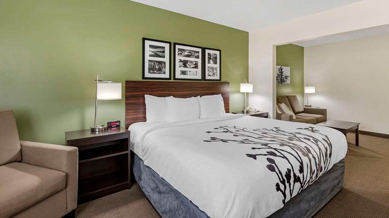 <b>Sleep Inn and Suites Charles City Room</b>. Images powered by <a href="https://iceportal.shijigroup.com/" title="IcePortal" target="_blank">IcePortal</a>.