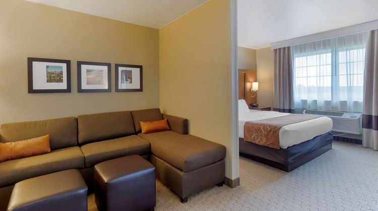 Comfort Suites Suite
