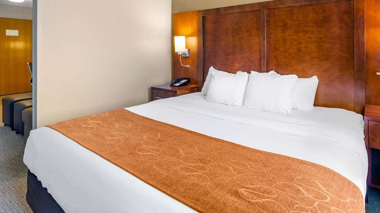 Comfort Suites Suite