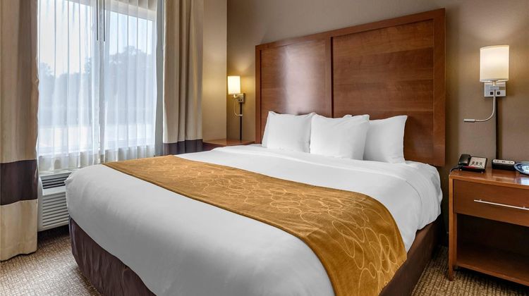 Comfort Suites Room