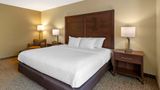 <b>Comfort Inn & Suites Room</b>. Images powered by <a href="https://iceportal.shijigroup.com/" title="IcePortal" target="_blank">IcePortal</a>.