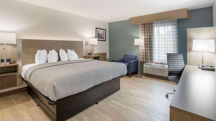 Quality Inn Room