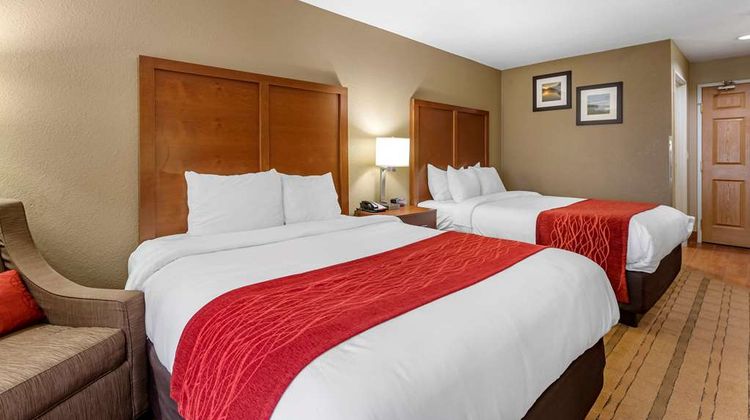 Comfort Inn & Suites Room