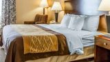 <b>Quality Inn & Suites - Mount Pleasant Room</b>. Images powered by <a href="https://iceportal.shijigroup.com/" title="IcePortal" target="_blank">IcePortal</a>.