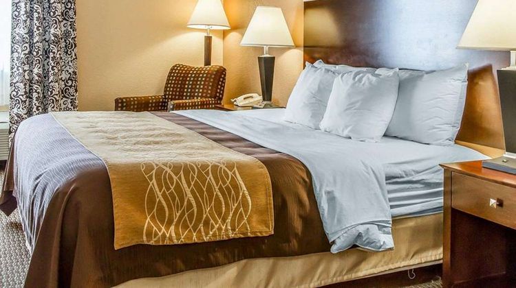 Quality Inn & Suites - Mount Pleasant Room
