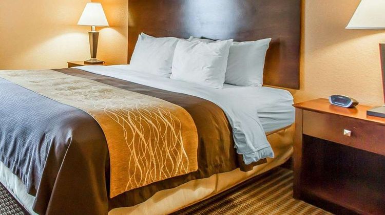 Quality Inn & Suites - Mount Pleasant Suite