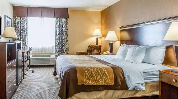 Quality Inn & Suites - Mount Pleasant Room