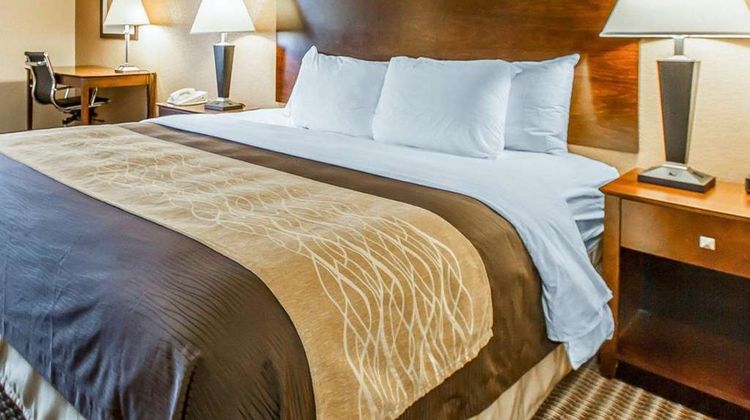 Quality Inn & Suites - Mount Pleasant Suite