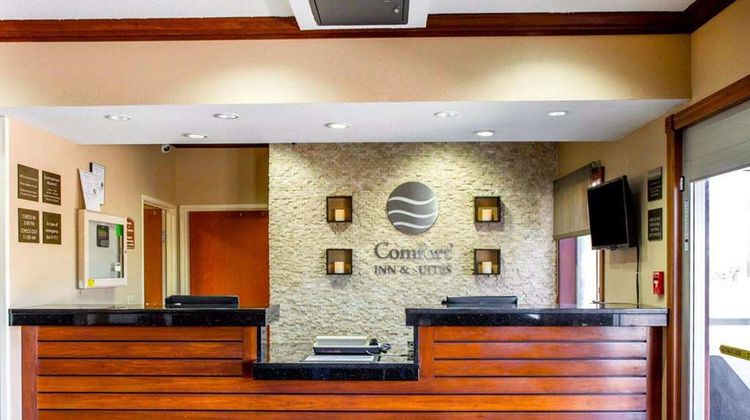 Comfort Inn & Suites Lobby