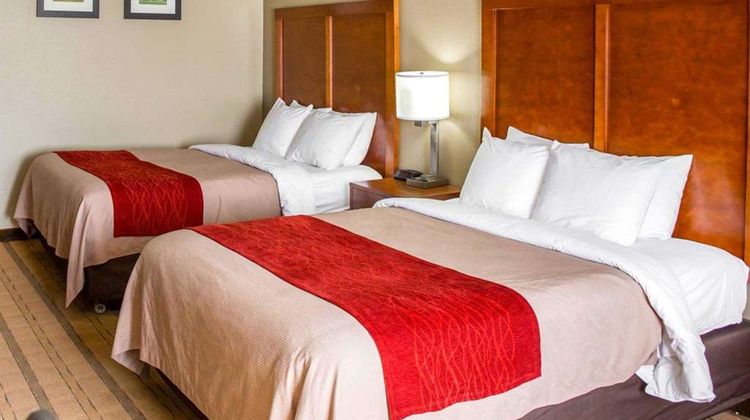 Comfort Inn & Suites Room