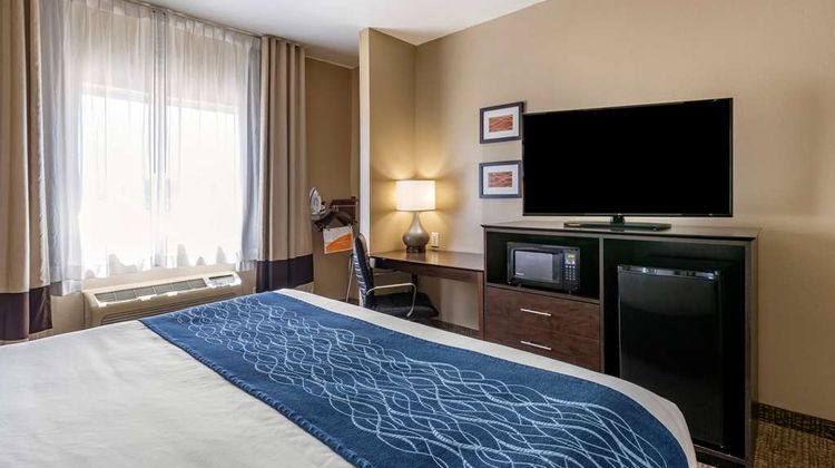 Comfort Inn & Suites Room