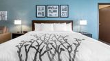 Sleep Inn & Suites West Des Moines Suite