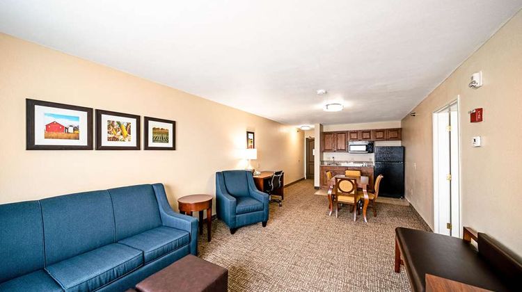 Comfort Inn & Suites Room