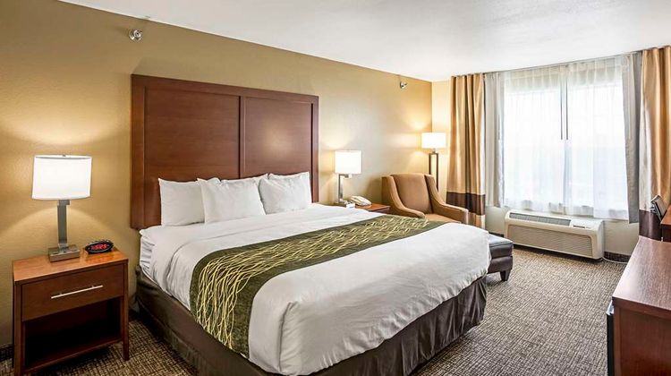 Comfort Inn & Suites Room