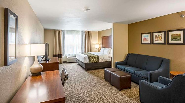 Comfort Inn & Suites Suite