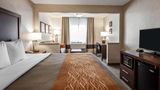 Quality Inn Pocatello Suite