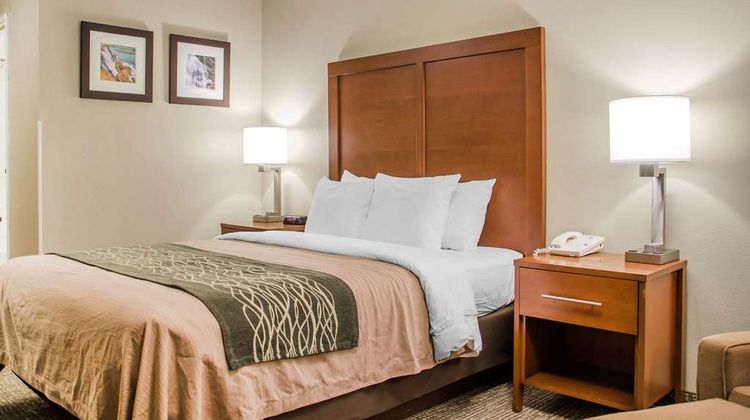Comfort Inn Idaho Falls Room